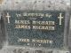 Family Plot - John Thomas McGrath, James (AKA Jim) McGrath & Brigid Agnes Devitt